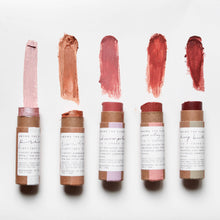 Load image into Gallery viewer, earthen makeup set
