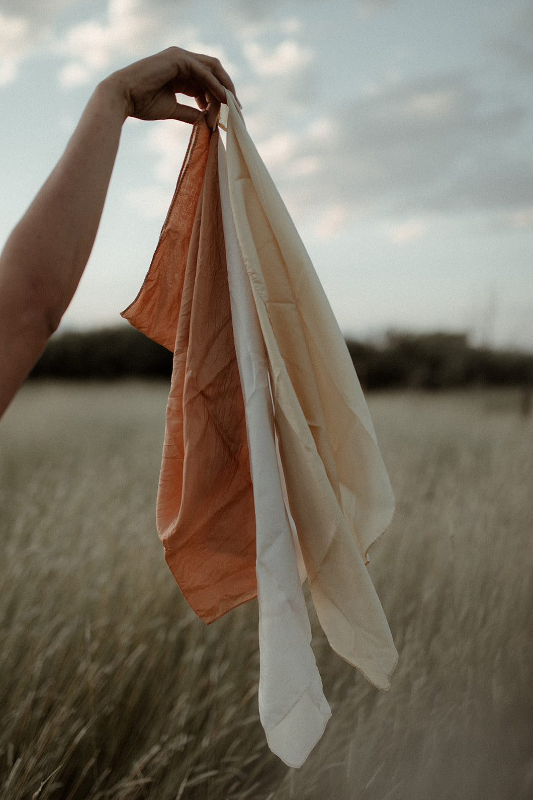 plant dyed silk scarves